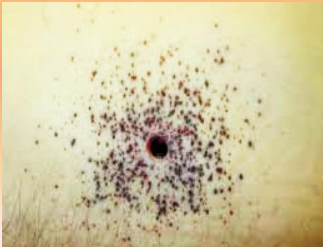 _page_130_Picture_4.jpeg|203x156