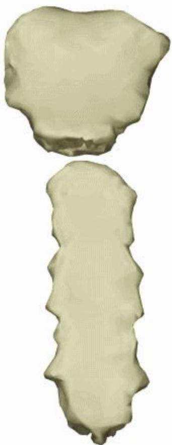 _page_142_Picture_1.jpeg|101x260