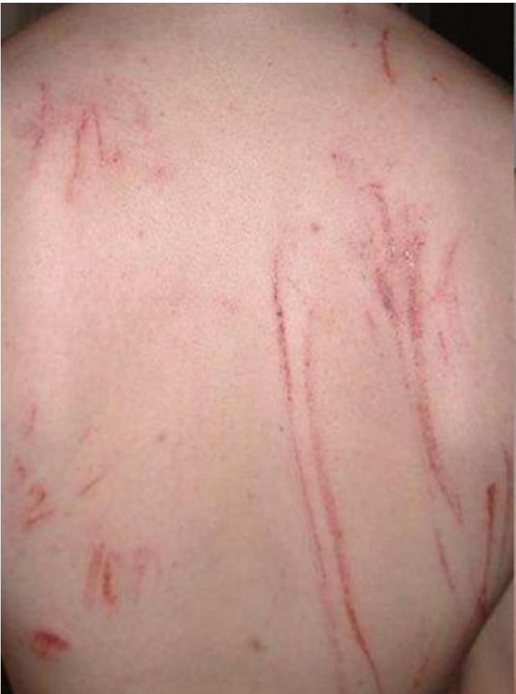 _page_15_Picture_4.jpeg|251x338