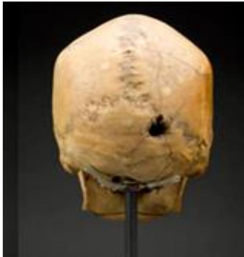 _page_17_Picture_4.jpeg|214x226