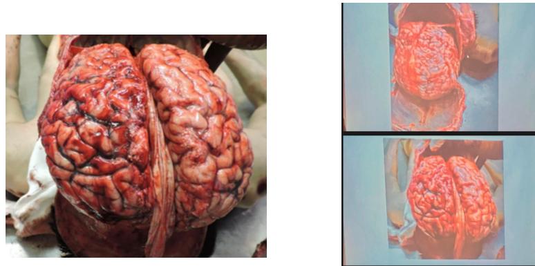 _page_196_Picture_1.jpeg|367x183