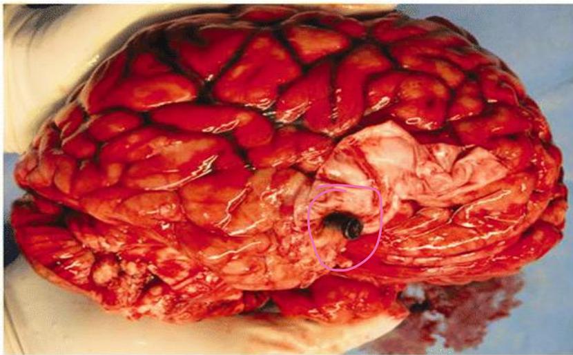 _page_19_Picture_8.jpeg|320x198