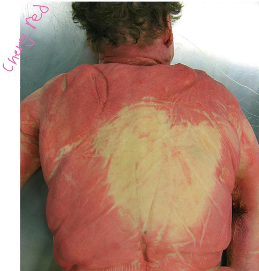 _page_20_Picture_4.jpeg|204x213