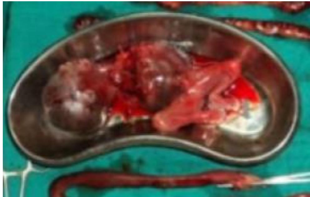 _page_21_Picture_4.jpeg|289x183