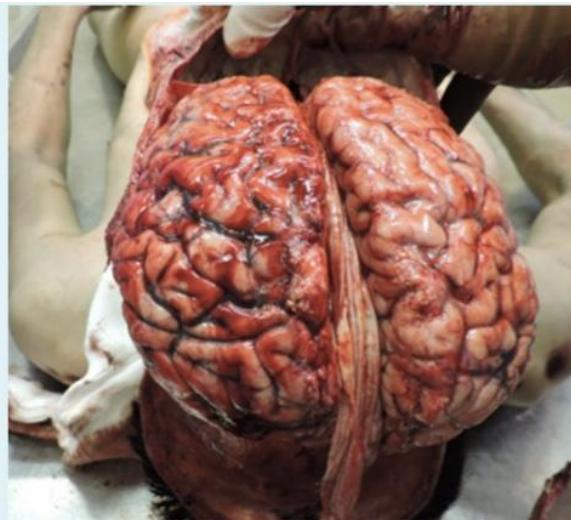 _page_2_Picture_4.jpeg|390x355