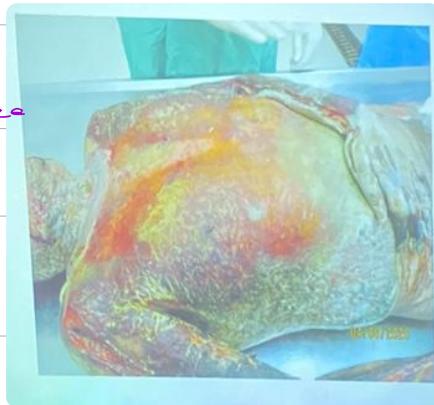 _page_33_Picture_2.jpeg|200x187