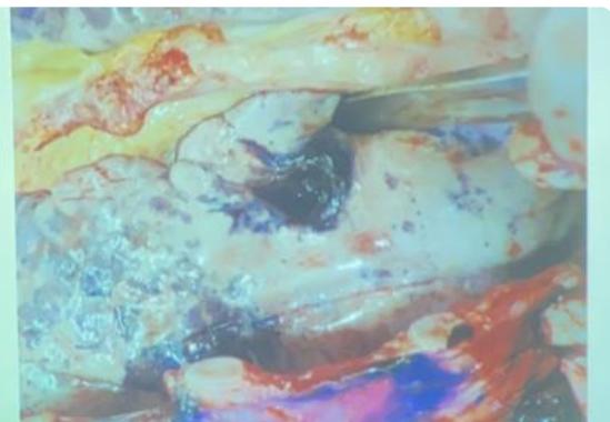 _page_36_Picture_12.jpeg|162x112