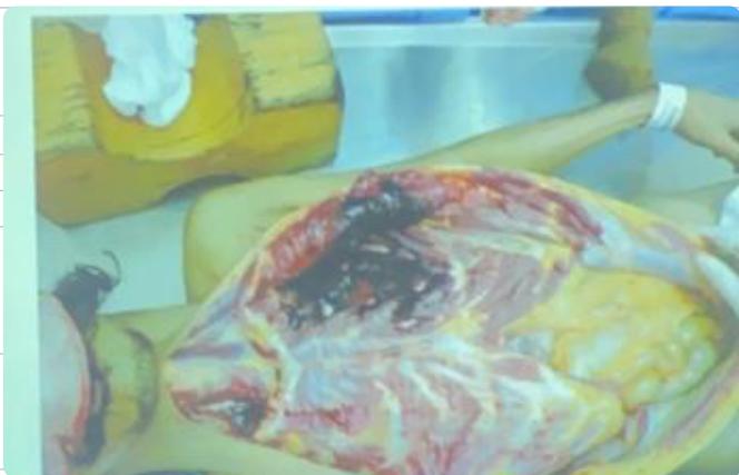 _page_36_Picture_9.jpeg|253x163