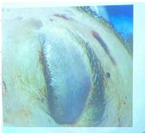 _page_37_Picture_6.jpeg|239x219