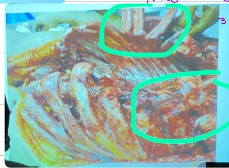 _page_39_Picture_10.jpeg|222x163