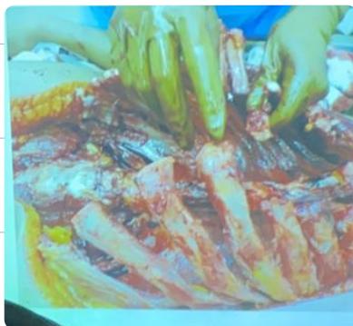 _page_39_Picture_7.jpeg|176x162