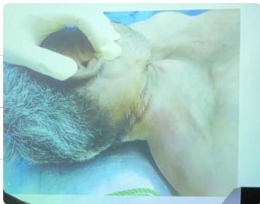 _page_42_Picture_1.jpeg|261x204