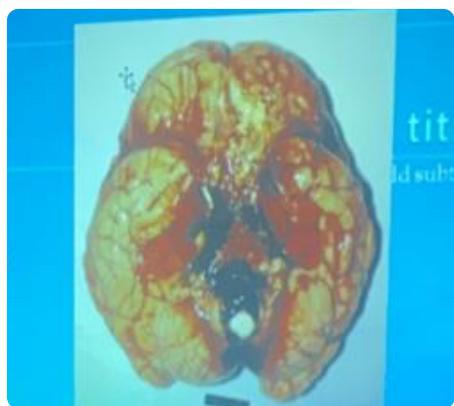 _page_43_Picture_2.jpeg|242x216