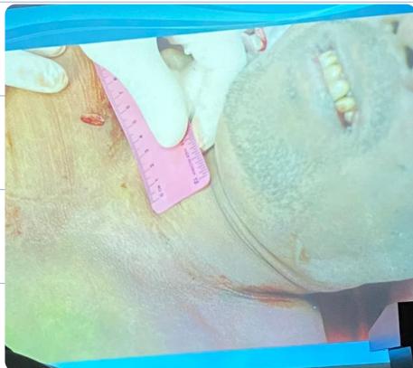 _page_45_Picture_3.jpeg|263x234