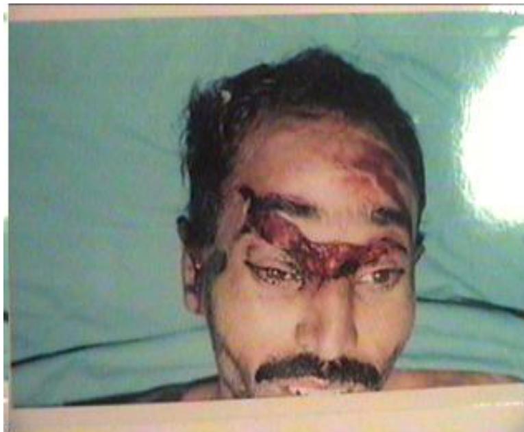 _page_48_Picture_3.jpeg|258x213