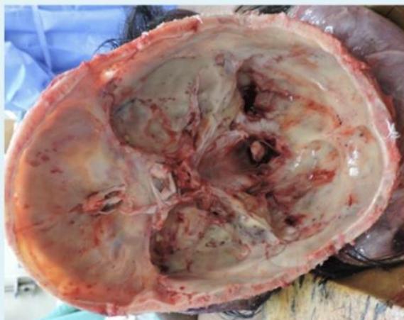 _page_4_Picture_0.jpeg|209x166