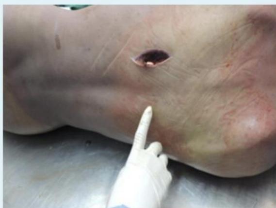 _page_4_Picture_3.jpeg|379x285