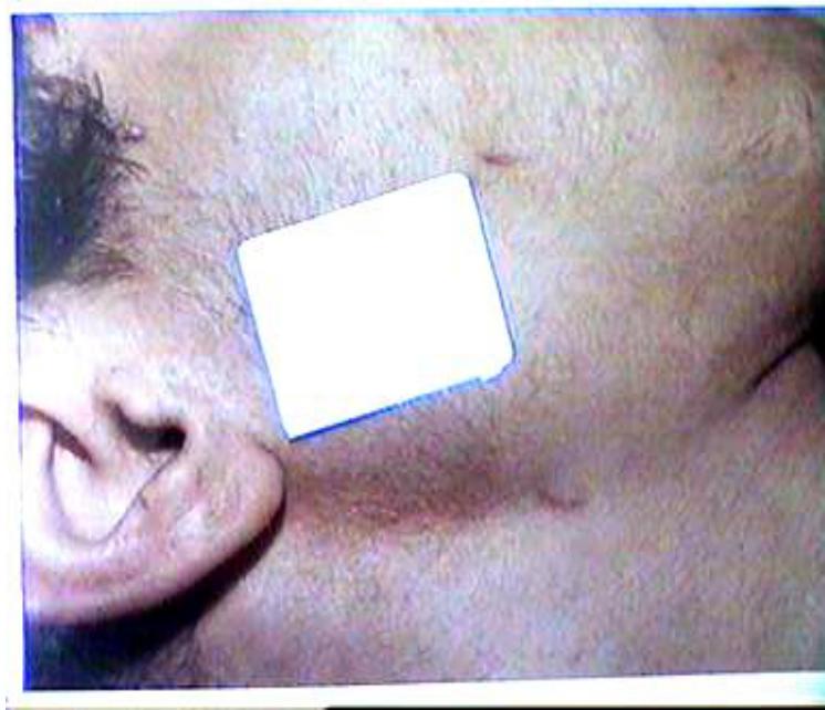 _page_50_Picture_1.jpeg|230x198