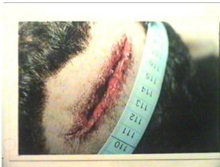 _page_55_Picture_2.jpeg|267x202