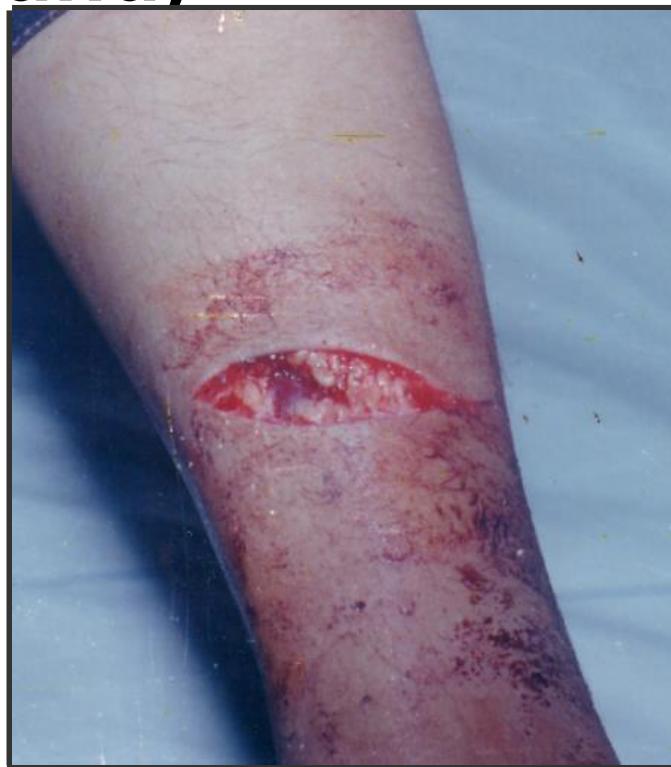 _page_56_Picture_2.jpeg|273x312