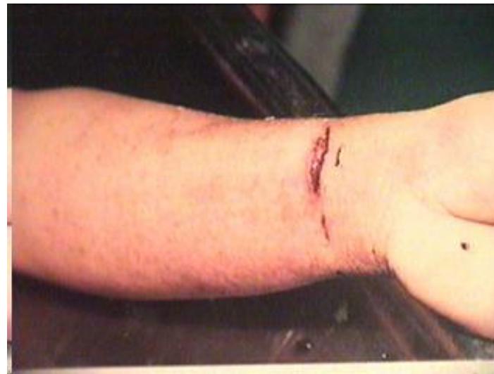 _page_59_Picture_2.jpeg|266x202