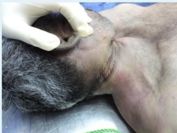 _page_5_Picture_4.jpeg|255x191