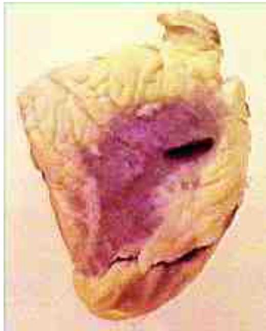 _page_63_Picture_3.jpeg|168x209