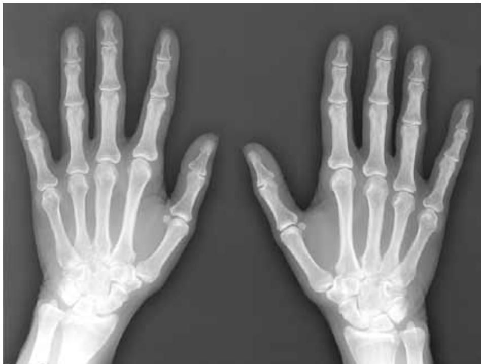 _page_68_Picture_2.jpeg|260x197