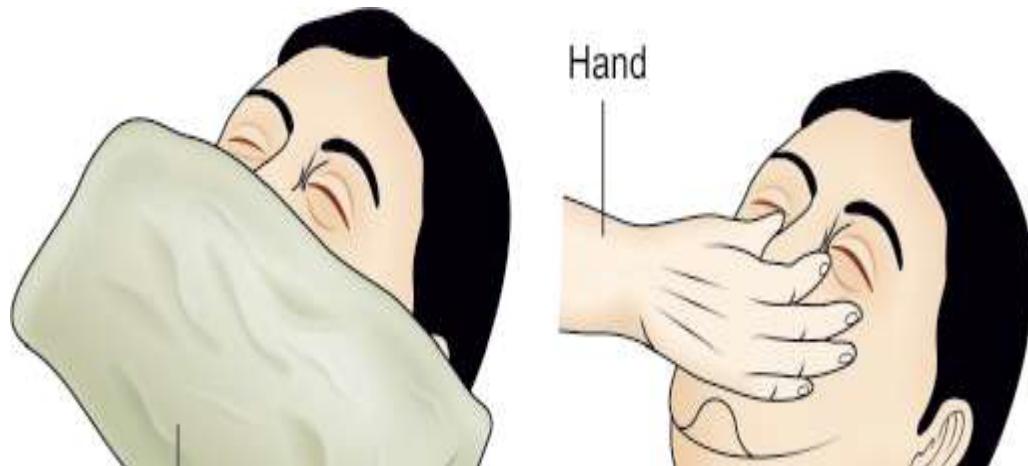 _page_71_Picture_2.jpeg|280x127