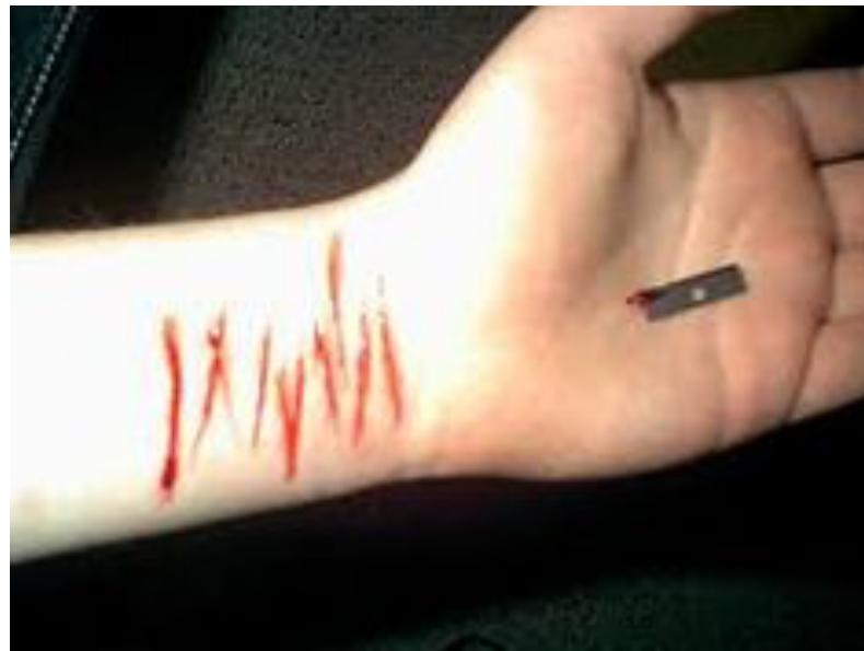 _page_73_Picture_1.jpeg|247x186