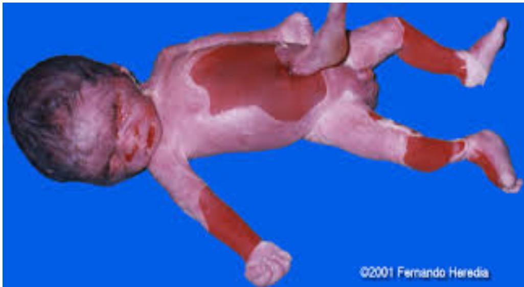 _page_74_Picture_2.jpeg|249x136