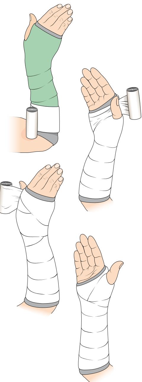 _page_1_Picture_7.webp|99x265