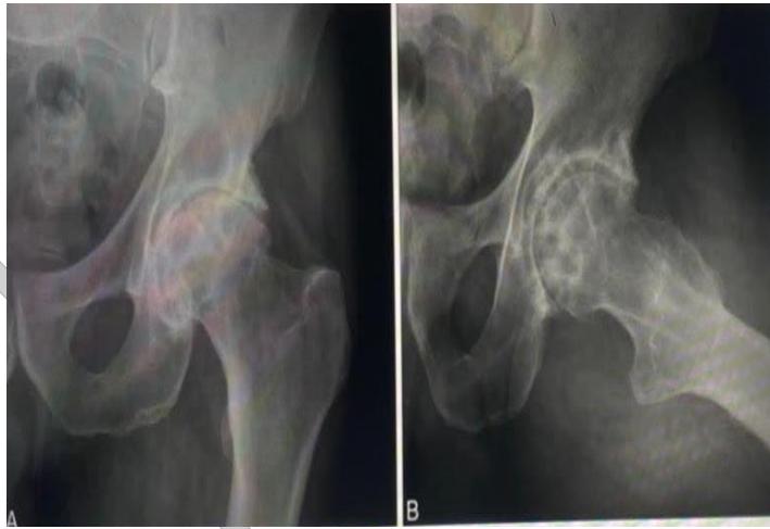 page_1_Picture_2.webp|299x206