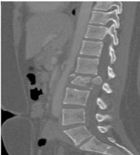 _page_36_Picture_2.webp|259x286