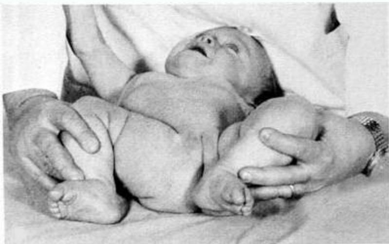 _page_17_Picture_2.jpeg|0x0