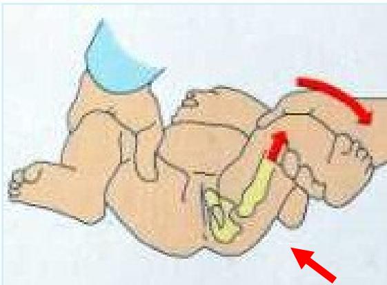 _page_20_Picture_3.jpeg|264x194