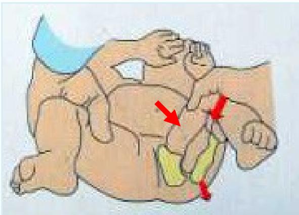 _page_21_Picture_3.jpeg|294x212