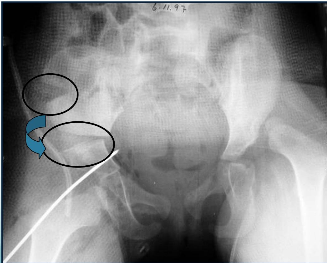 _page_41_Picture_2.jpeg|315x253