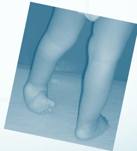 _page_45_Picture_7.jpeg|296x327