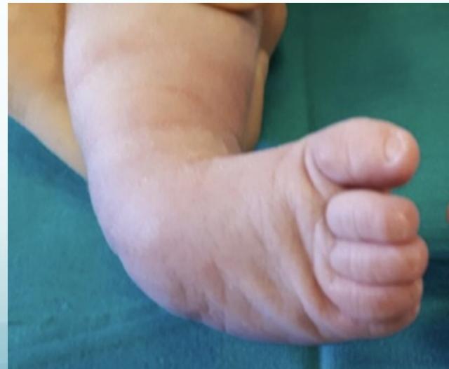 _page_47_Picture_3.jpeg|322x265