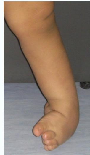 _page_48_Picture_2.jpeg|132x227