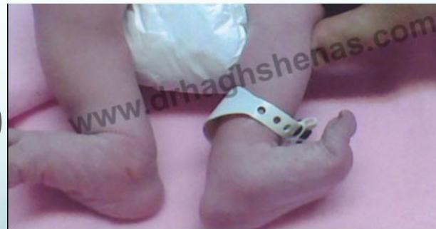 _page_48_Picture_4.jpeg|371x195