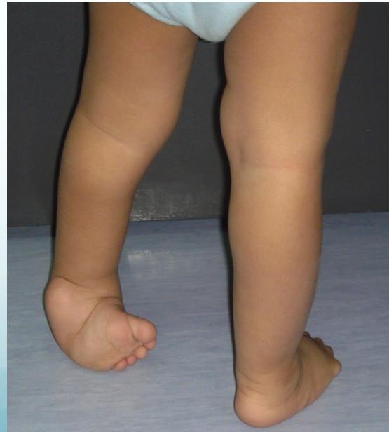 _page_52_Picture_9.jpeg|211x234