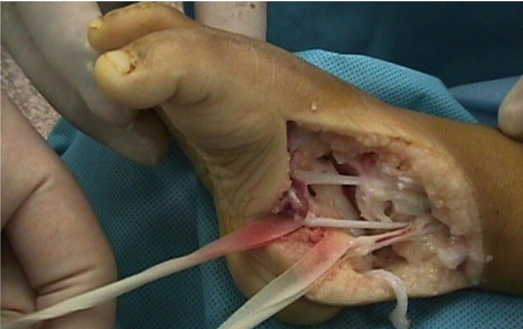 _page_66_Picture_1.jpeg|434x273