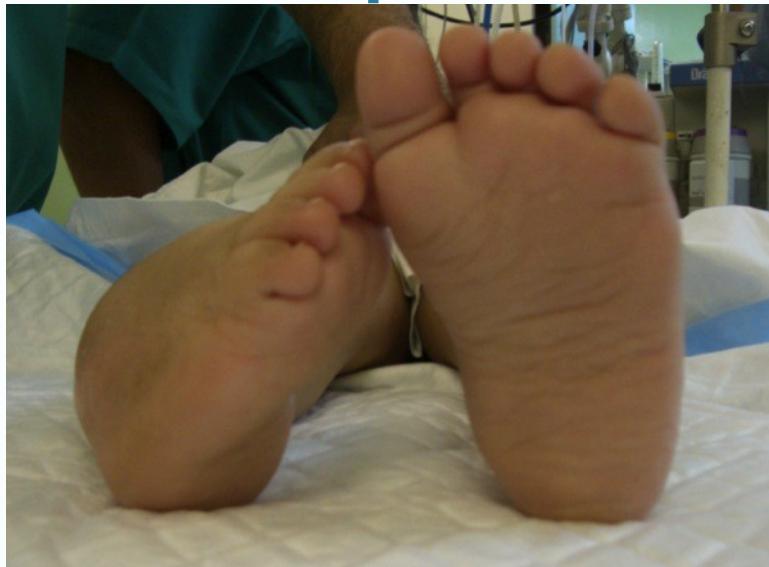 _page_68_Picture_2.jpeg|301x222