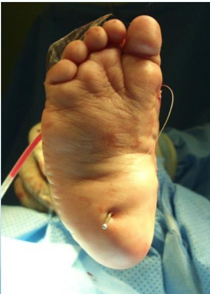 _page_68_Picture_3.jpeg|212x297