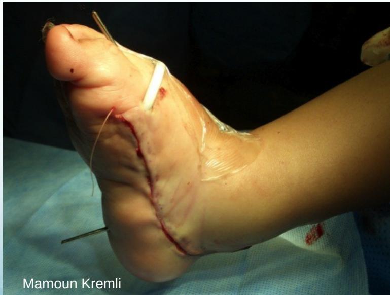 _page_68_Picture_4.jpeg|321x243