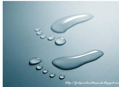 _page_69_Picture_2.jpeg|269x198