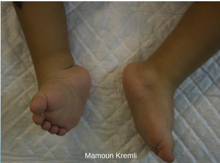 _page_69_Picture_3.jpeg|371x276