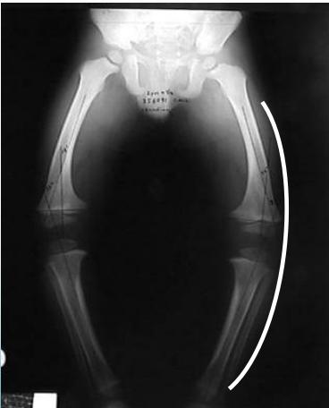 _page_10_Picture_2.jpeg|303x375